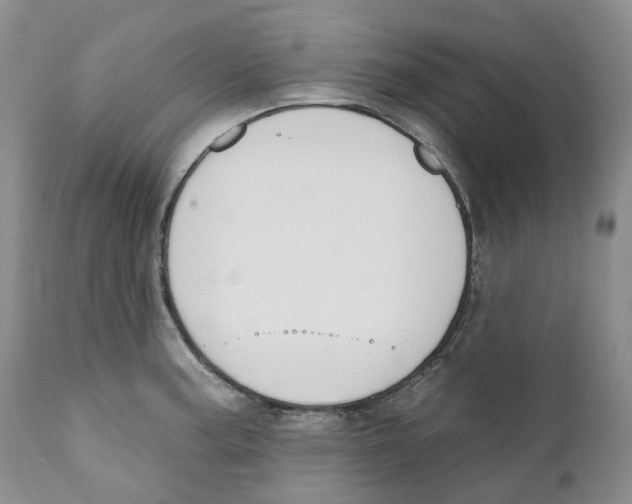 X0000111891187200908201314