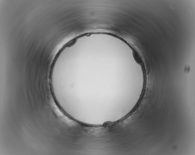 X0000111891189200908201314