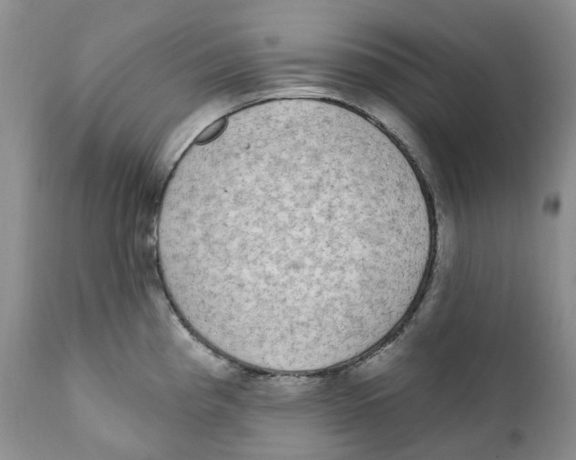 X0000111891193200908201314