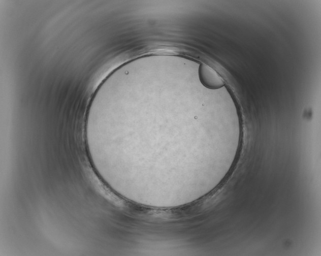 X0000111891194200908201314