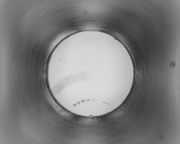 X0000111891195200908201314