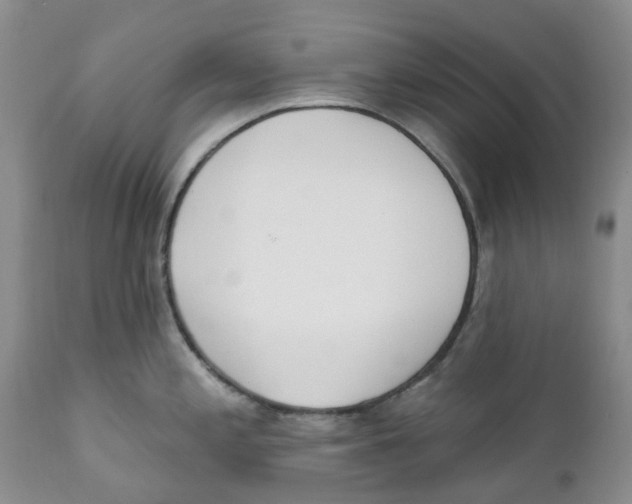 X0000111891197200908201314