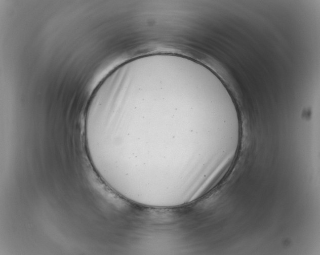 X0000111891198200908201313