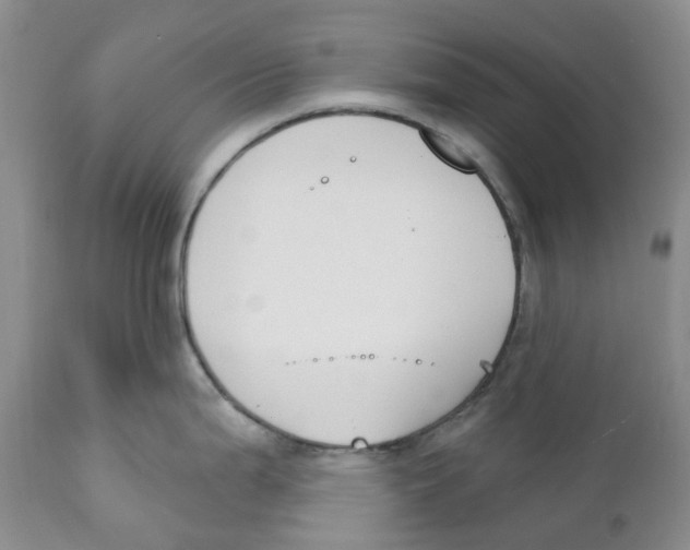 X0000111891199200908201313