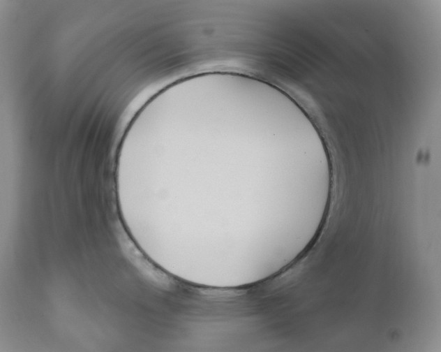 X0000111891200200908201313