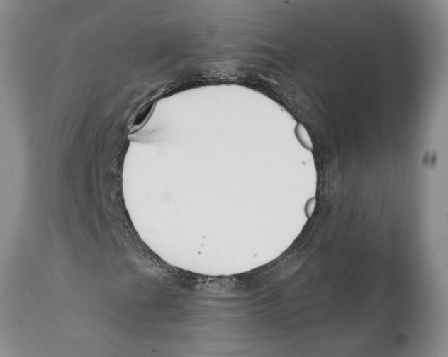 X0000111891201200908201313