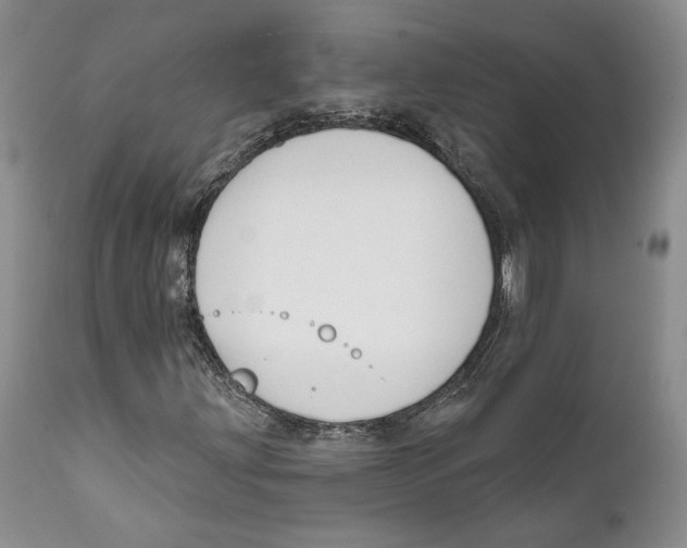 X0000111891203200908201313