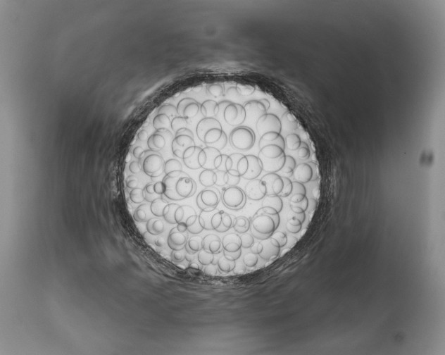 X0000111891205200908201313