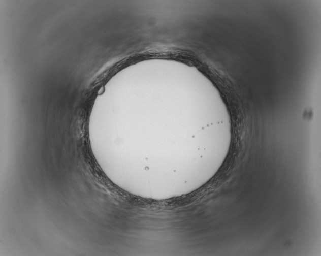 X0000111891206200908201313