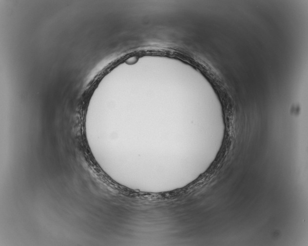 X0000111891208200908201313