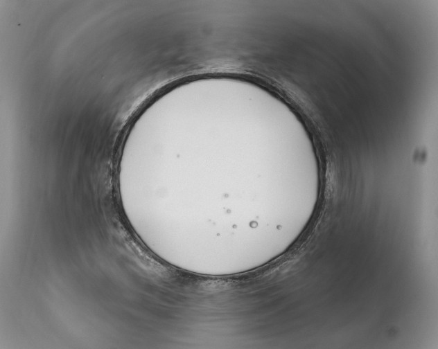 X0000111891212200908201313