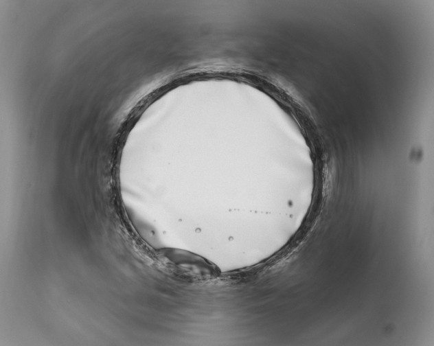 X0000111891213200908201313