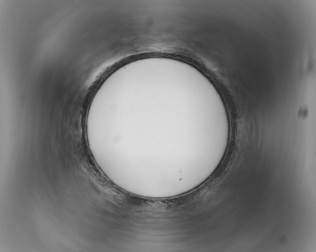 X0000111891214200908201313