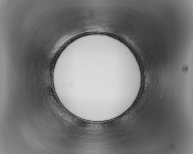 X0000111891215200908201313