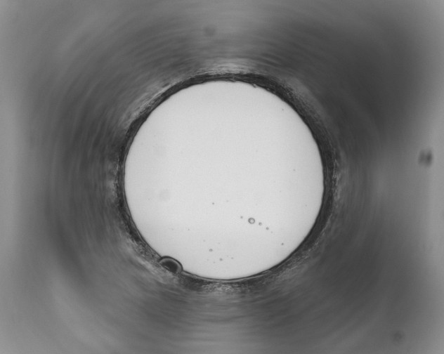 X0000111891217200908201313