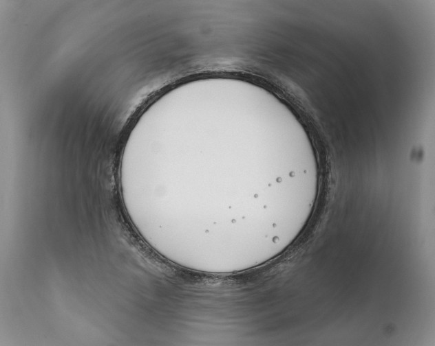 X0000111891218200908201313