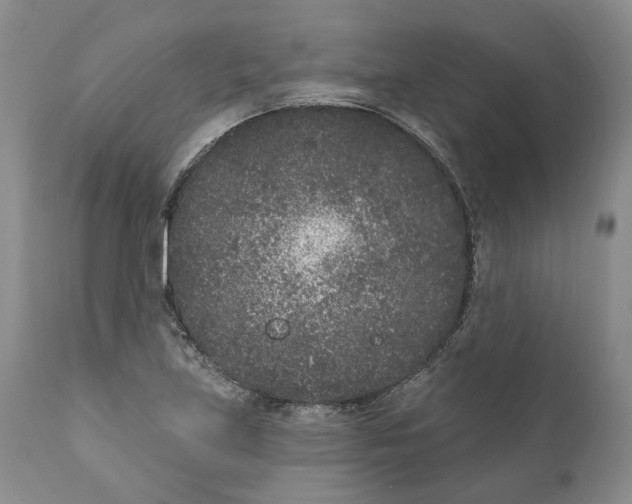 X0000111891219200908201313