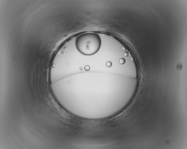 X0000111891220200908201313