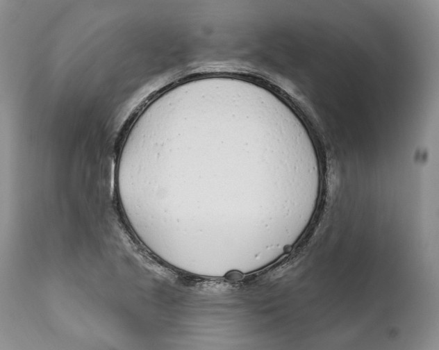 X0000111891221200908201313