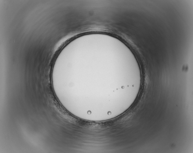 X0000111891222200908201313