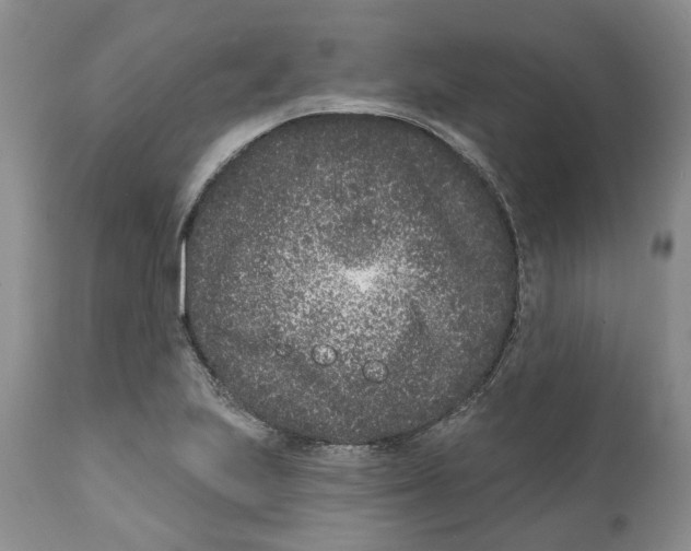 X0000111891223200908201313