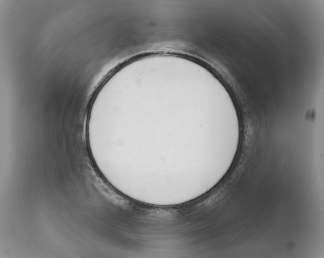 X0000111891224200908201313