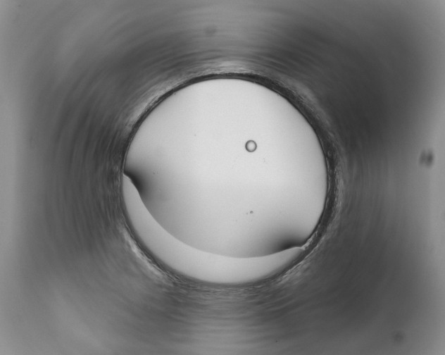 X0000111891225200908201313