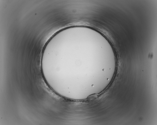 X0000111891228200908201313