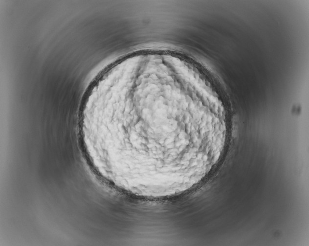 X0000111891229200908201313