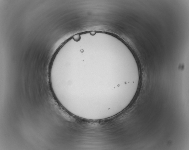 X0000111891230200908201313