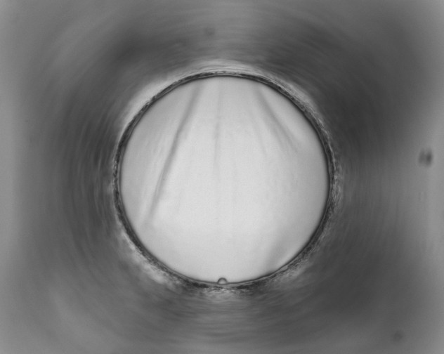 X0000111891231200908201313