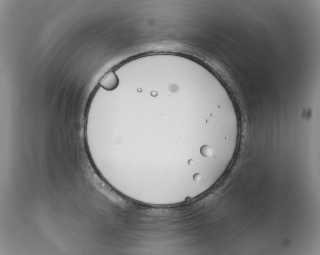 X0000111891232200908201313