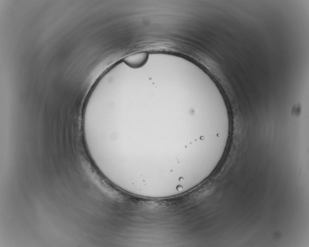 X0000111891234200908201313