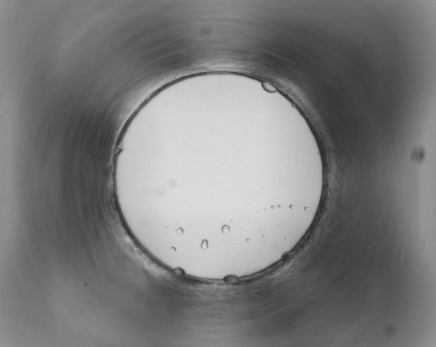 X0000111891236200908201313