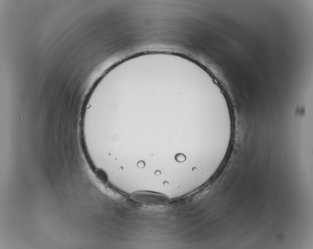 X0000111891237200908201313