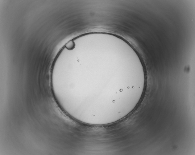 X0000111891238200908201313