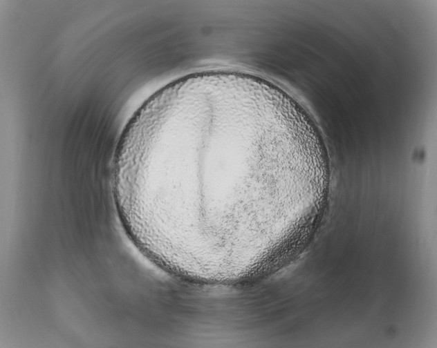 X0000111891239200908201313