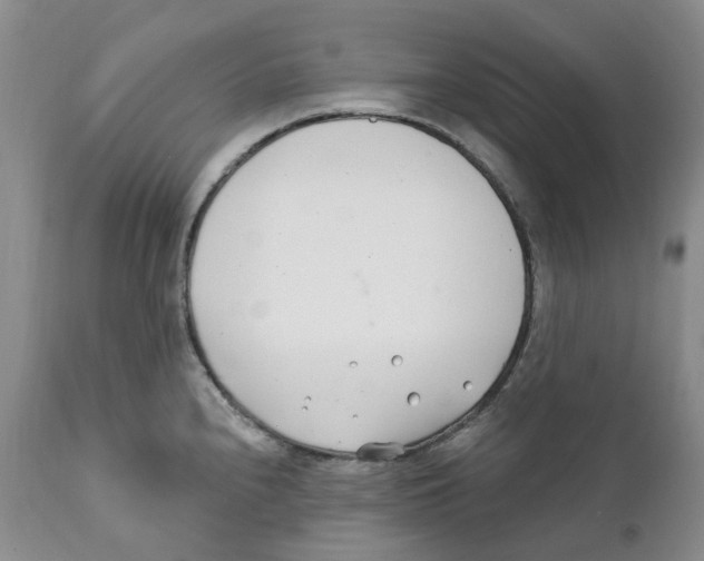 X0000111891240200908201313