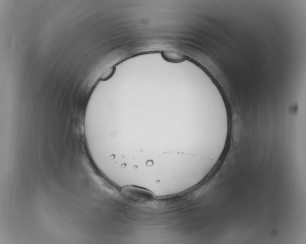 X0000111891241200908201313