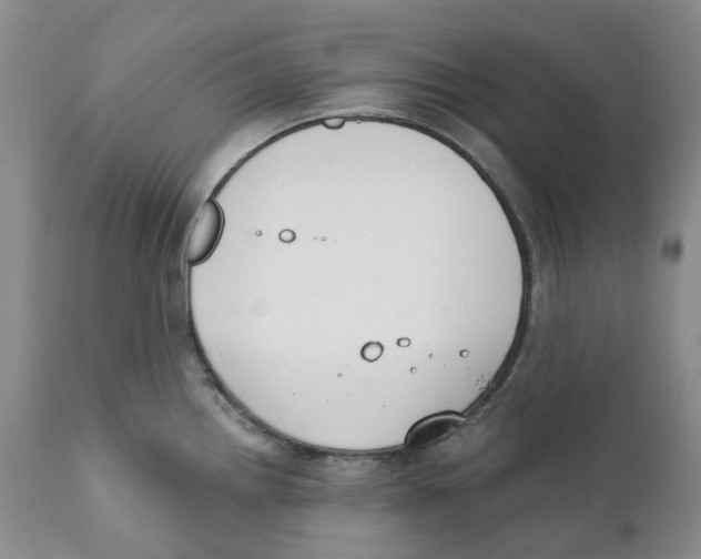 X0000111891242200908201313