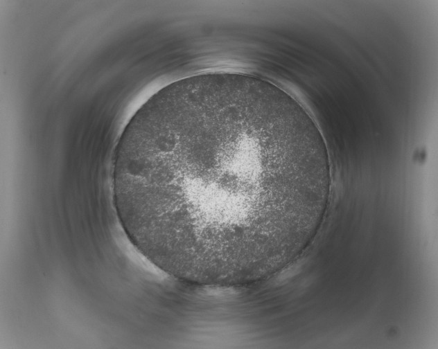 X0000111891243200908201313