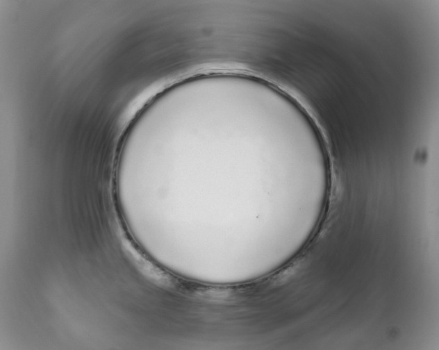 X0000111891245200908201313