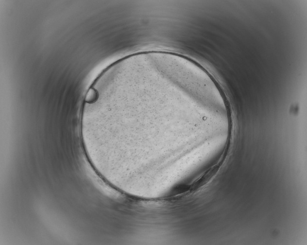 X0000111891246200908201313