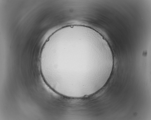 X0000111891247200908201313