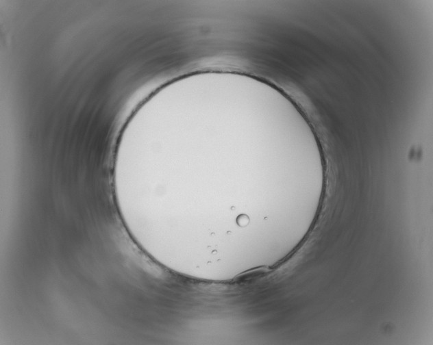 X0000111891248200908201313