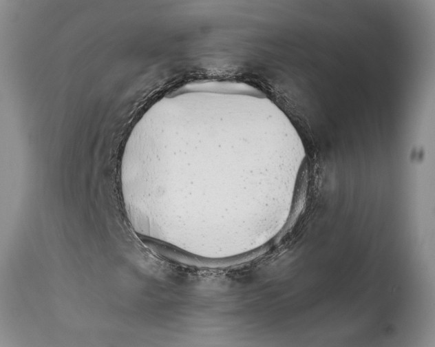 X0000111891249200908201313