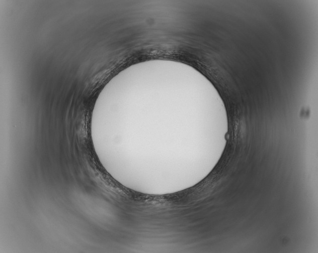 X0000111891250200908201313