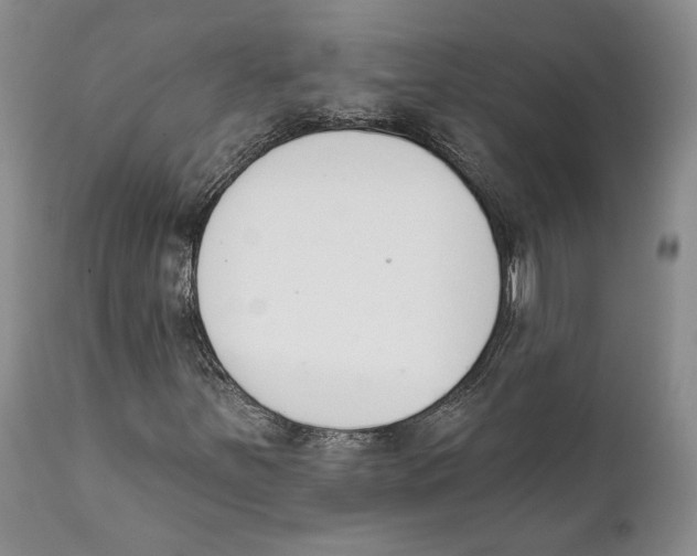 X0000111891251200908201313