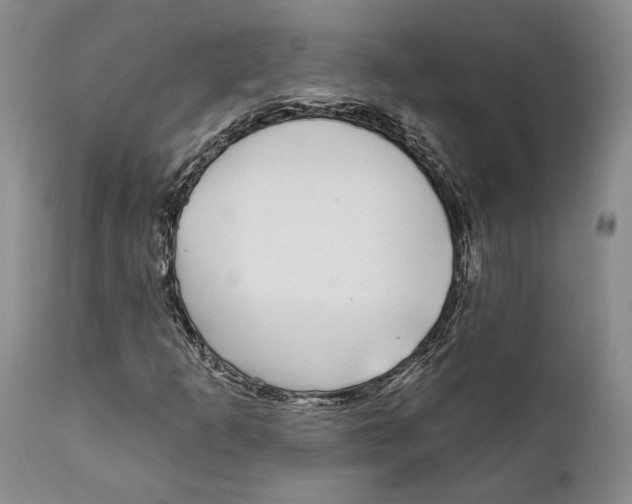 X0000111891253200908201313