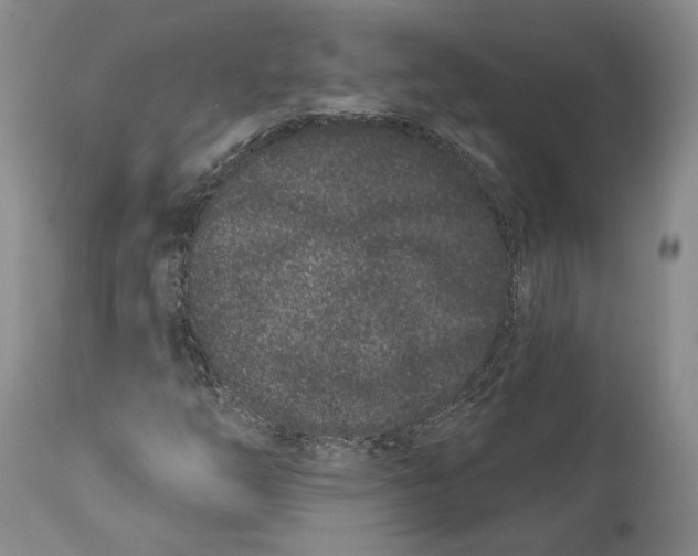 X0000111891254200908201313